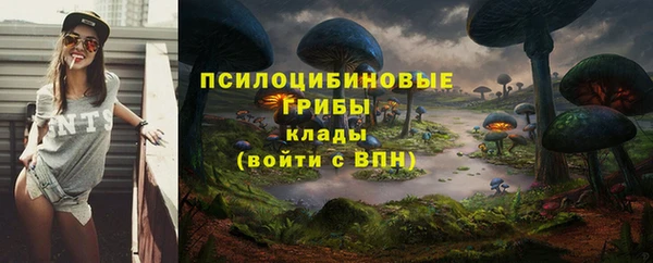 a pvp Баксан